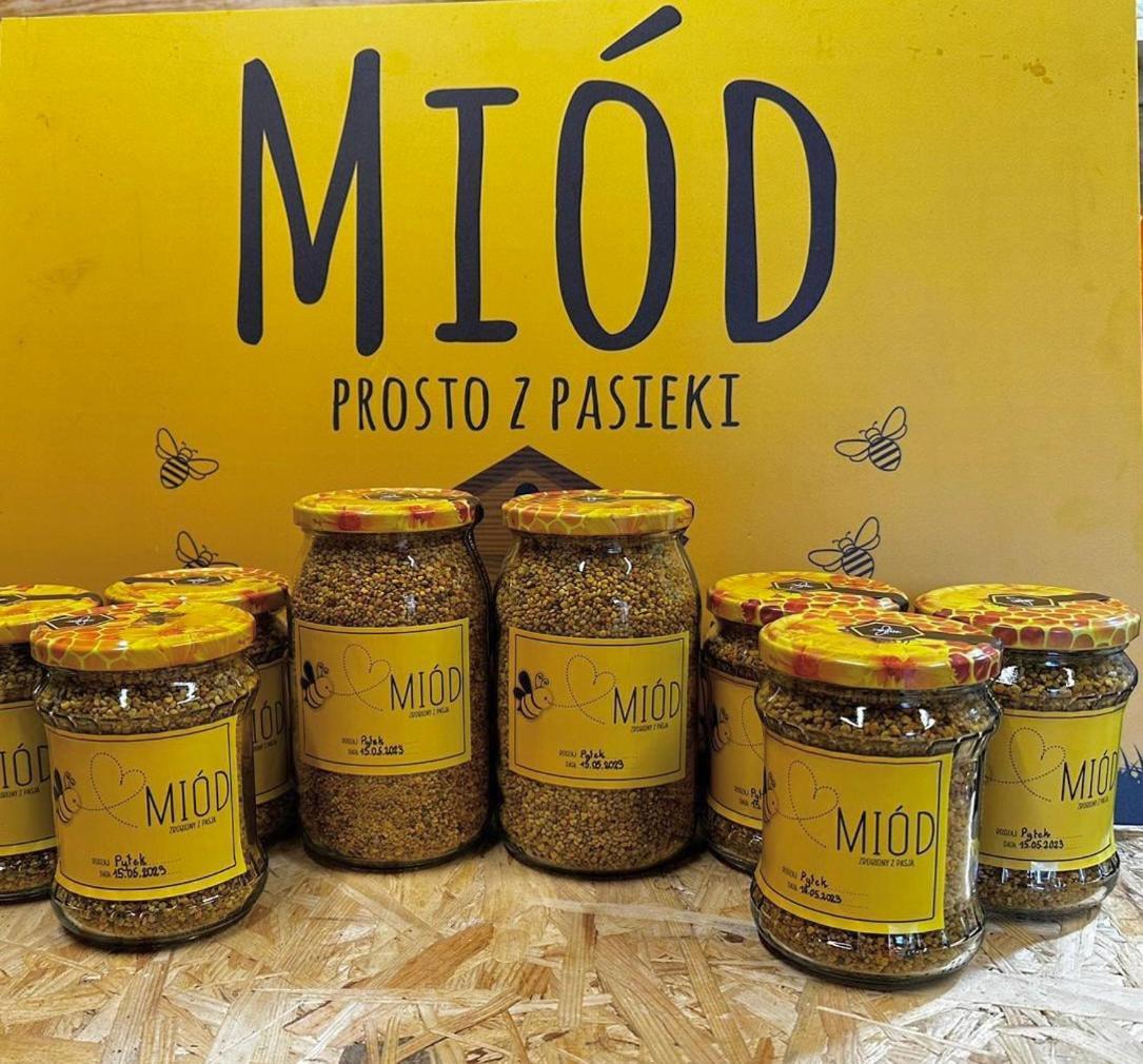 Kokolinko- Dom Caloroczny Na Mazurach